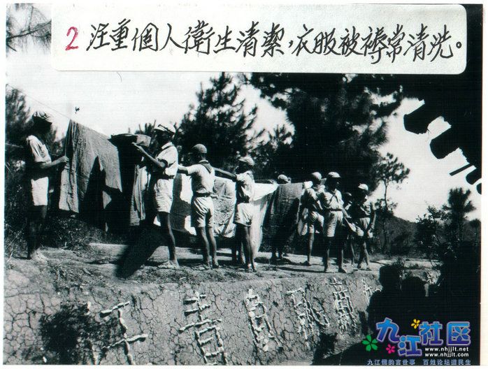 3-1003.jpg