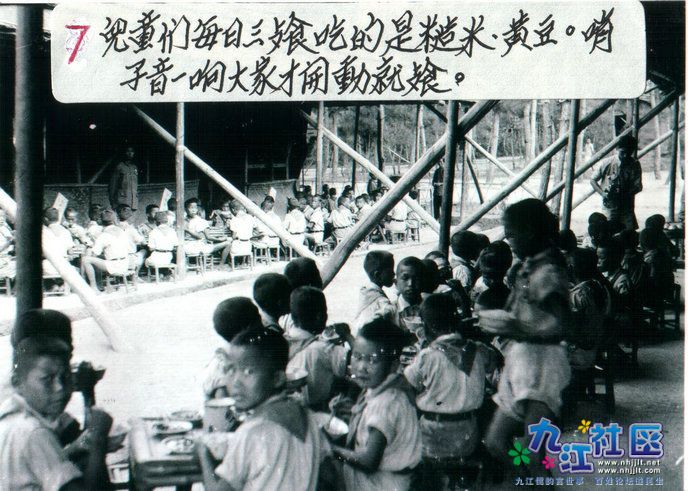 3-1008.jpg