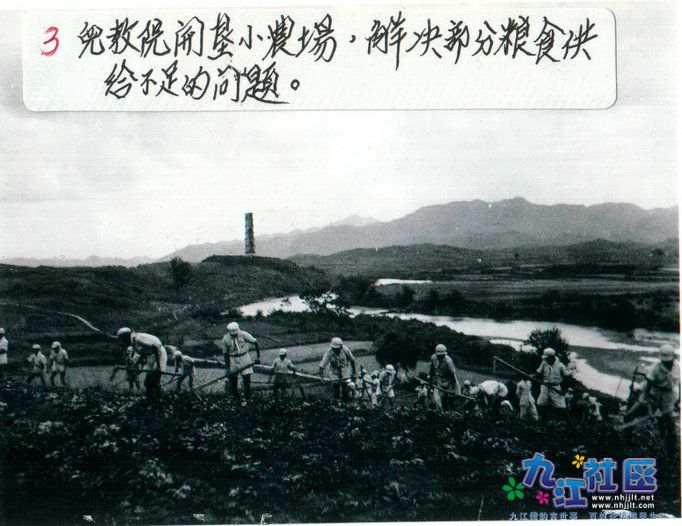3-3004.jpg