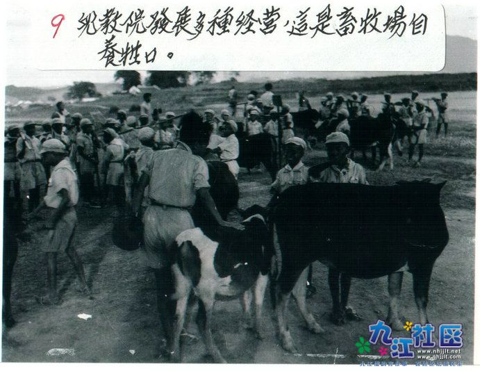 3-3010.jpg