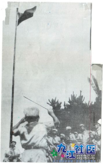 13-006.jpg