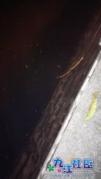 webwxgetmsgimg (18).jpg