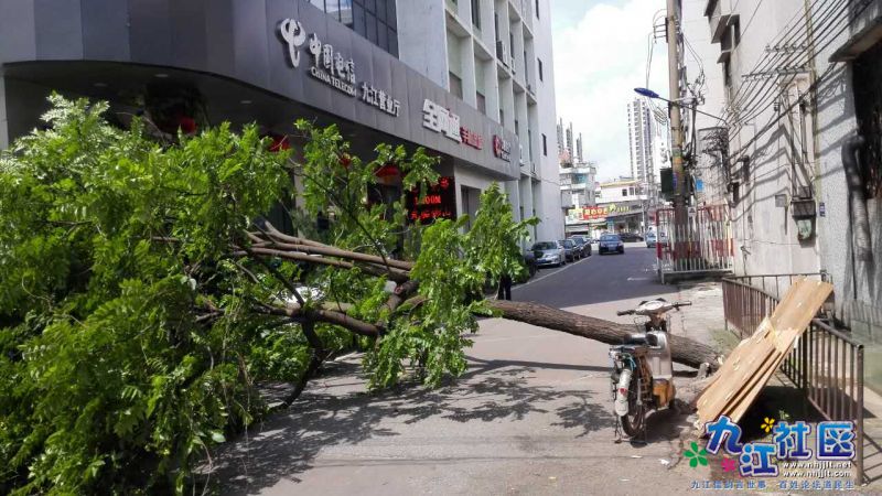 webwxgetmsgimg (75).jpg