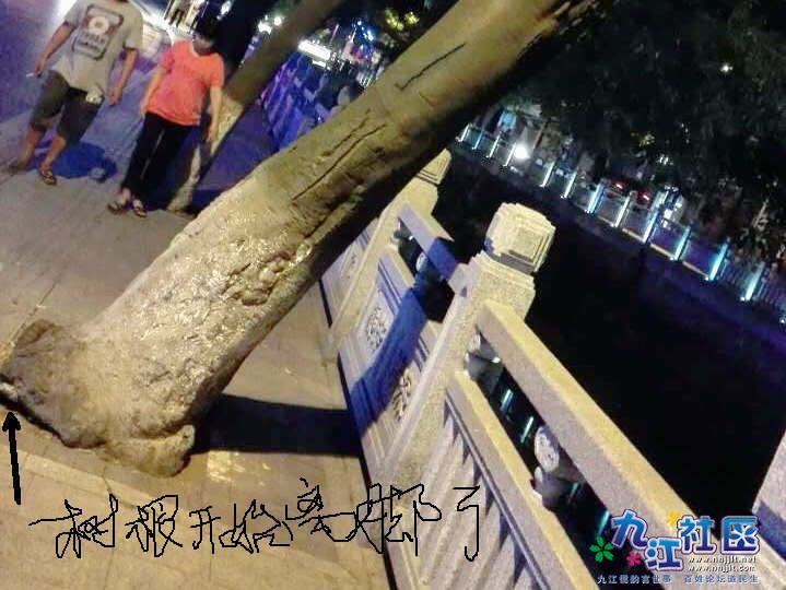 webwxgetmsgimg (6).jpg