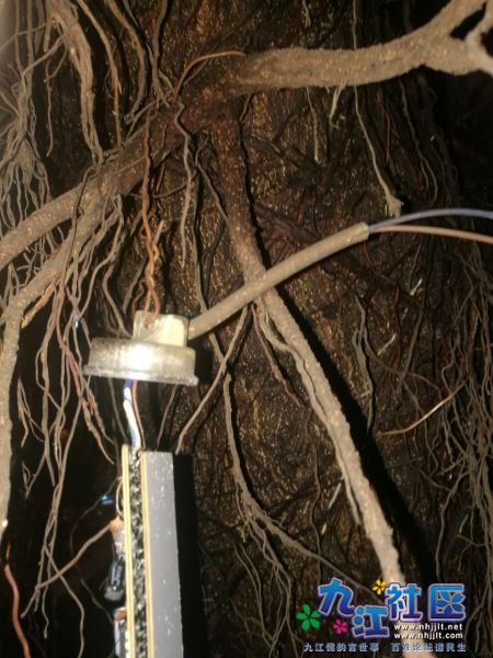 webwxgetmsgimg (9).jpg