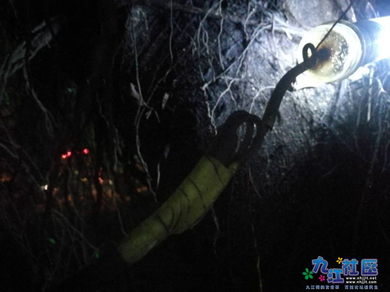 webwxgetmsgimg (12).jpg