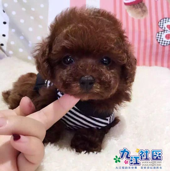 1553653581435 - 副本.jpg