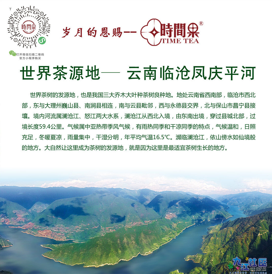 世界茶源地的时间果 古树普洱生茶.jpg