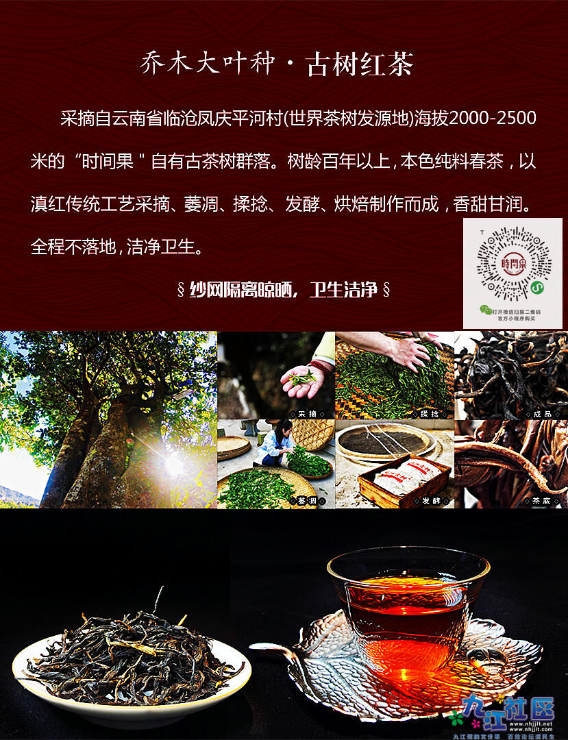 古树红茶_1.jpg