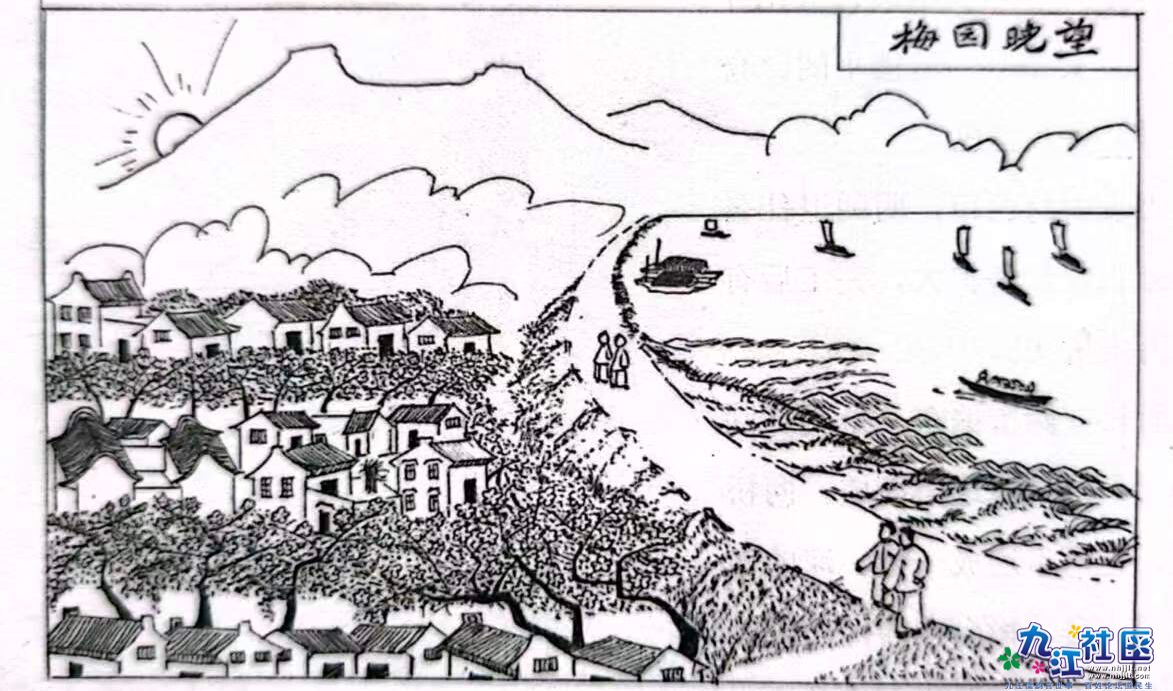 梅园晚望.jpg