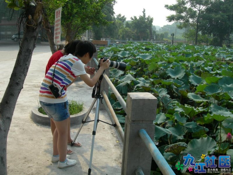 华光中学摄影社团２０１０暑假实践
