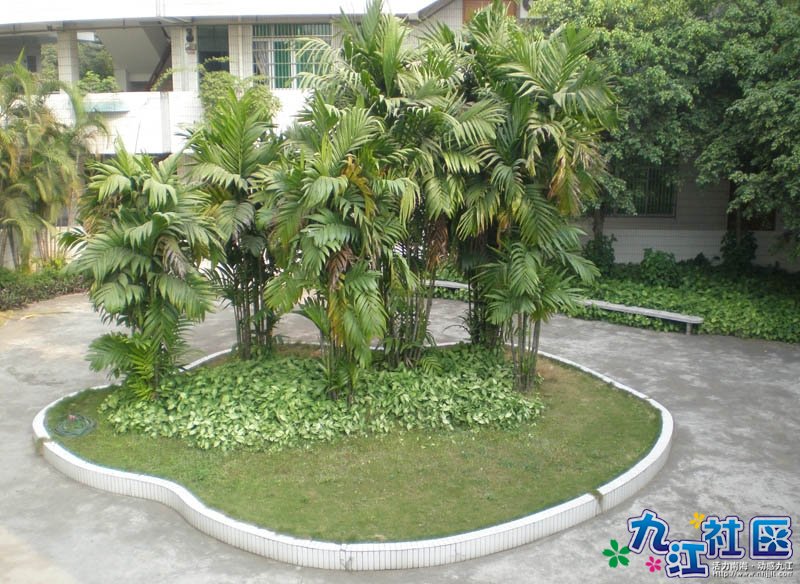 《爱生活，爱摄影》实践图片