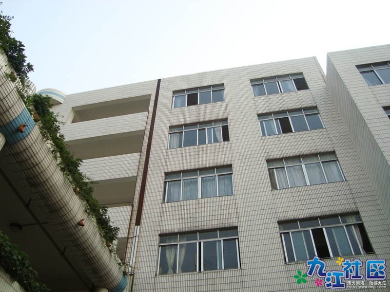 华光中学106班第4小组校园实践相片