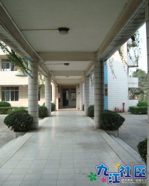 华光中学106班第4小组校园实践相片