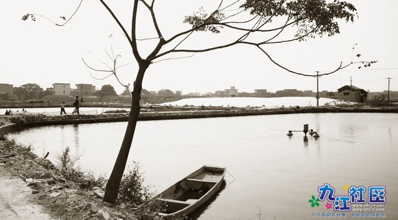 107班崔艳珊同学拍摄