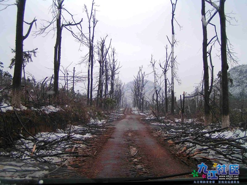 104班 18号 何韵妍3.jpg